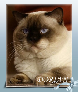 dorian